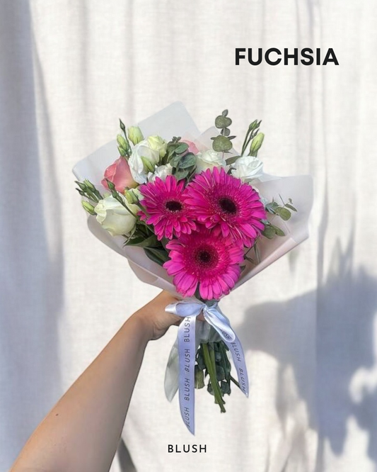 Fuchsia