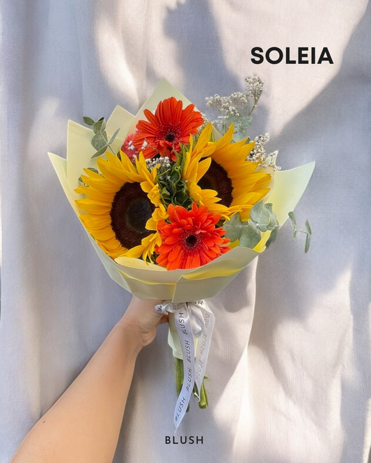 Soleia