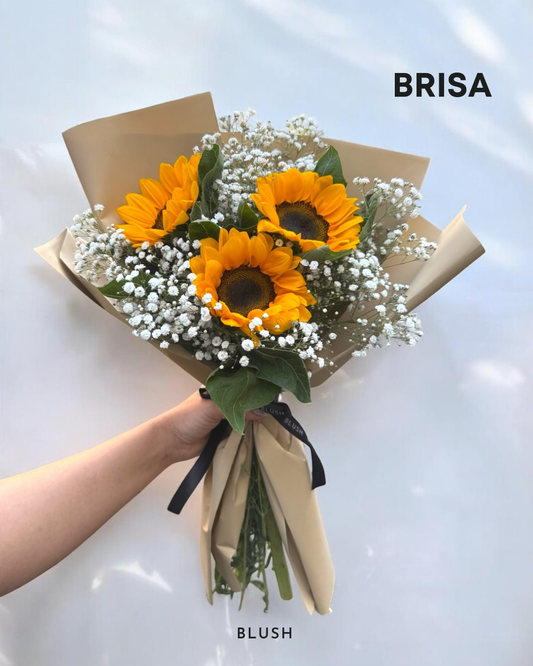 Brisa