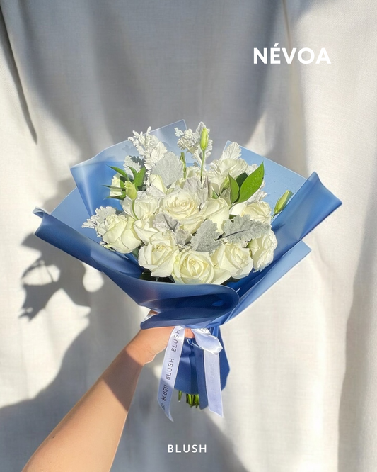 Névoa